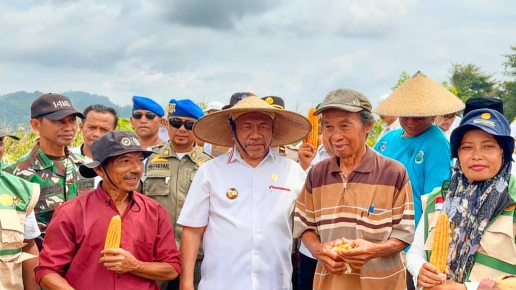 Panen Jagung dan Peletakan Batu Pertama Masjid Jadi Agenda Strategis Bupati ke Muna Timur
