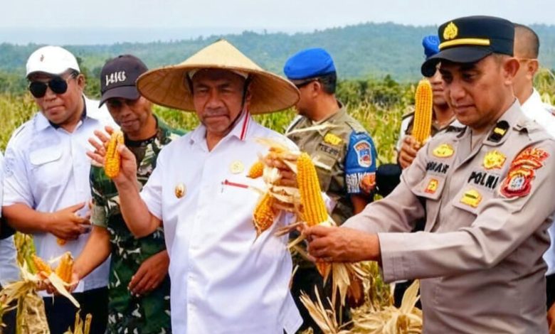 Panen Jagung dan Peletakan Batu Pertama Masjid Jadi Agenda Strategis Bupati ke Muna Timur